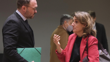 Teresa Ribera, en una reunión del Consejo Europeo de Medio Ambiente