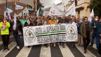 Manifestación en Jerte