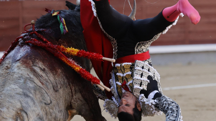 El diestro Emilio de Justo es cogido por el toro durante la corrida del Domingo de Ramos celebrada esta tarde en el coso taurino de Las Ventas, en Madrid. 