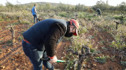 jóvenes agricultores
