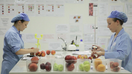 Fruta de hueso en laboratorio