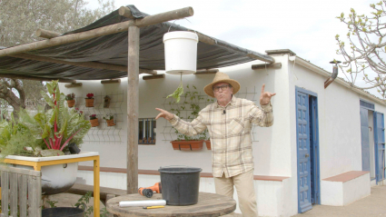 Cultivo invertido