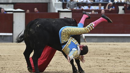 El diestro Ginés Marín sufre un revolcón con su primero de la tarde durante la corrida de la Feria de San Isidro del domingo 15 de mayo en la plaza de Las Ventas, en Madrid.