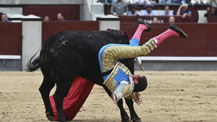 El diestro Ginés Marín sufre un revolcón con su primero de la tarde durante la corrida de la Feria de San Isidro del domingo 15 de mayo en la plaza de Las Ventas, en Madrid.