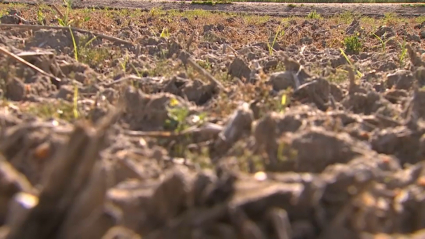 Imagen de la tierra de un campo de cultivo