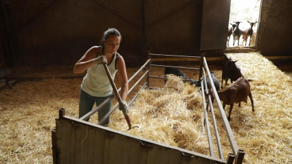 Mujer rural