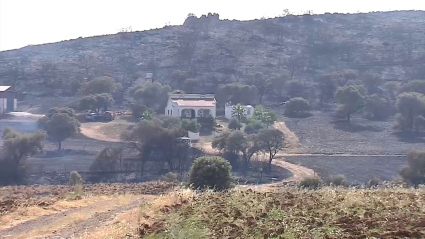 Incendio Peraleda del Zaucejo