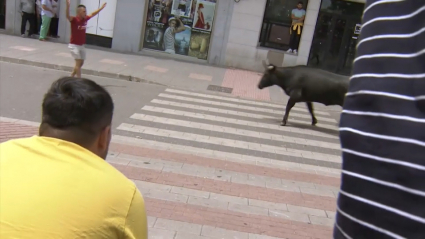 Comienzan los Sanjuanes de Coria