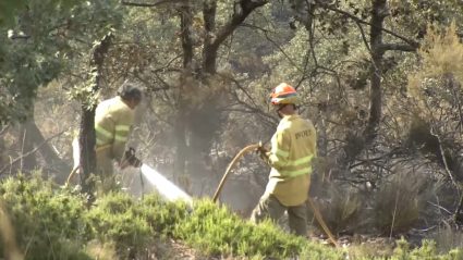 Trabajadores del INFOEX actuando en el incendio