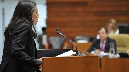 Irene de Miguel, durante su intervención parlamentaria