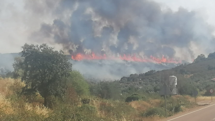 Incendio forestal Monterrubio de la Serena