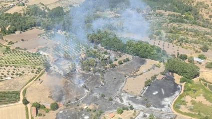 Incendio Villanueva de la Vera