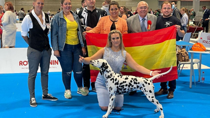 dálmata jayona, de la blanca azalea, ganadora joven del mundo