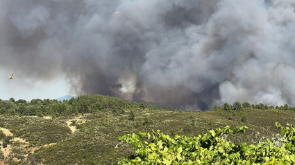 Incendio Villanueva de La Vera