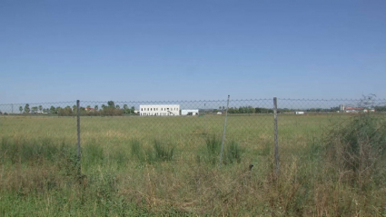 Terrenos donde se ubicará el nuevo polígono industrial de Don Benito que construirá Extremadura Avante.