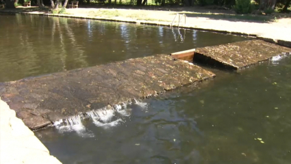 Polémica por el agua de la piscina de La Codosea