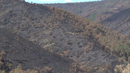 Un mes del incendio de Monfragüe