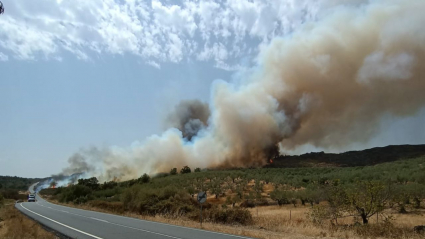 Incendio en Santibáñez el Alto