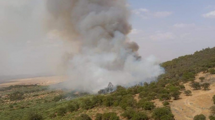 Incendio en Puebla de Alcocer