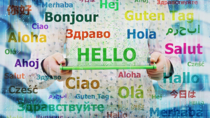 vasco translator