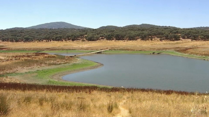 Embalse de Tentudía