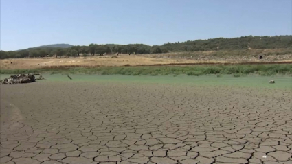 Pantano seco. Sequía