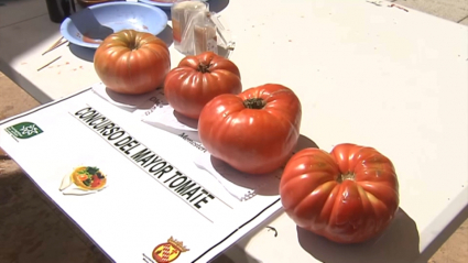 Tomate de Monesterio