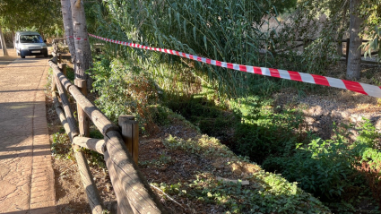 Aparece cuerpo sin vida en Valverde de Leganés