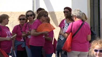 Participantes