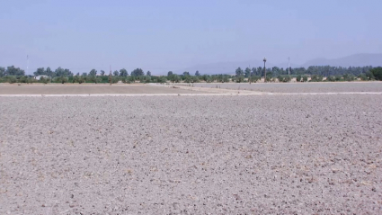 Imagen de un campo seco por la sequía