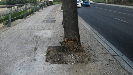 Accidente mortal en Badajoz