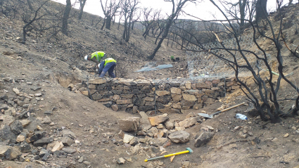 Trabajos en la Sierra de Miravete