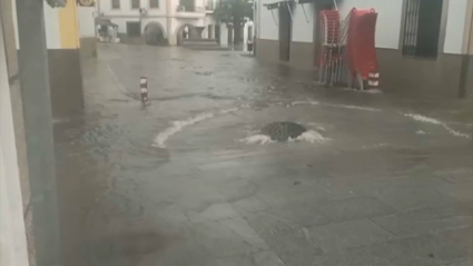 Colector roto en Malpartida de Cáceres