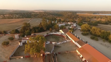 Tentaderos Herraderos Campo bravo Tierra de Toros Canal Extremadura