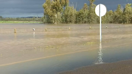 Balsas de agua en la carretera