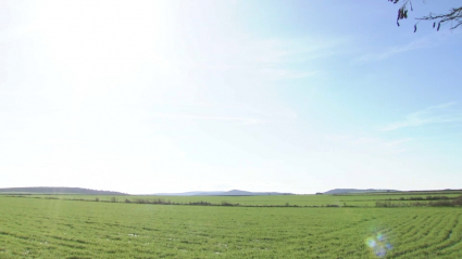 Zona en la que se construirá la planta de biometano