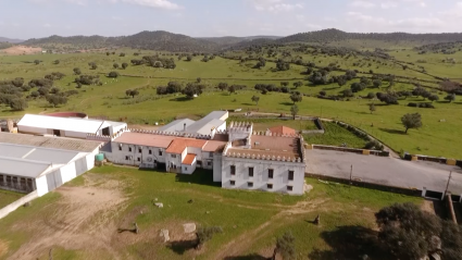 Conde de la Corte Los Bolsicos Tierra de Toros Canal Extremadura