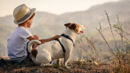 Niño con un perro