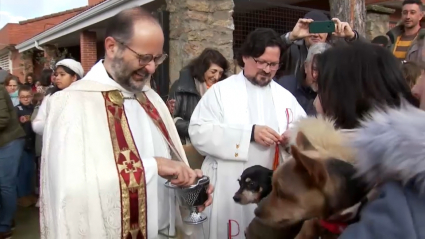 Bendición de animales en Plasencia