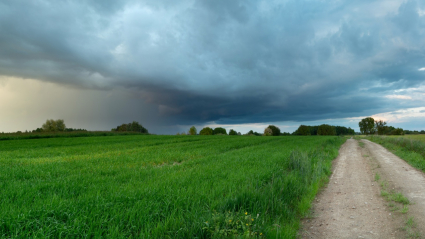 campo y lluvia