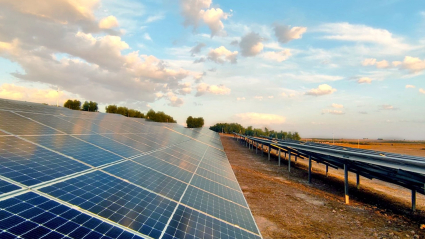 Paneles fotovoltaicos