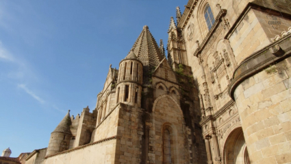 catedral_que-historia-tan-curiosa