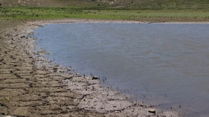 La escasez de agua se nota en los pantanos