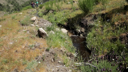 Acequia con agua en Aldeanueva