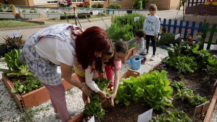 Niños aprendiendo en un huerto escolar