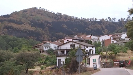 Consecuencias del incendio en Hurdes y Gata