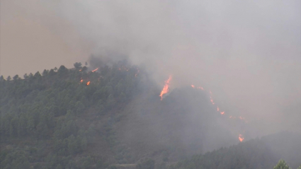 Incendio en el norte extremeño