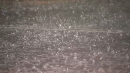 La lluvia también participa en los comicios