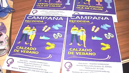 Carteles anunciadores de la campaña