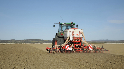 Trabajos de siembra de arroz en una finca de las Vegas Altas del Guadiana